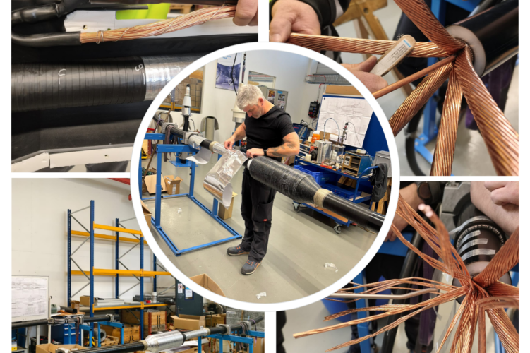 Know-how auf höchstem Niveau